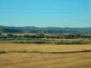 Obriment de la primera convocatòria per accedir a terres agràries en desús