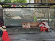 Detinguda una dona a Calafell després de viure més de dos anys sota una marquesina
