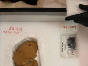 Tres peces del Museu Arqueològic del Vendrell es mostraran al Museu Mamuz d’Àustria
