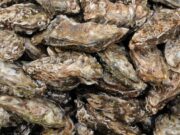 El sector de les ostres posa en valor la diversitat del medi aquàtic i guanya espai al mercat urbà