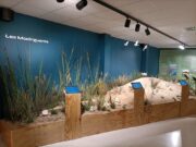 El Museu Tabaris de Coma-ruga reconegut com a Centre Blau