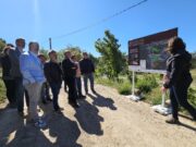 El projecte Rumiar promou un mosaic agroforestal a les Muntanyes de Prades